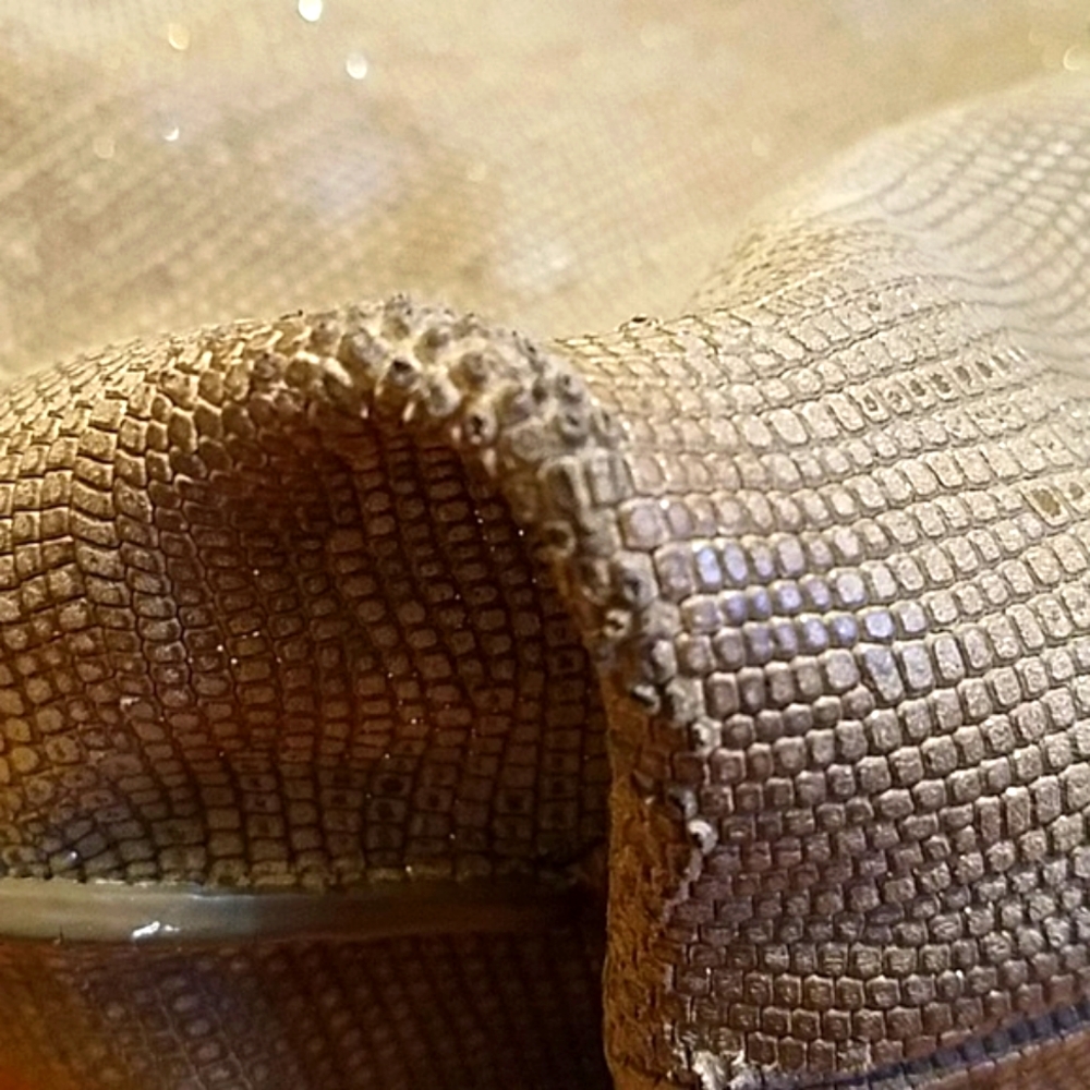 Leather Fossil Purse - Picture 7 of 8